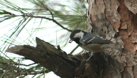 Örnek haber adı gelecek.