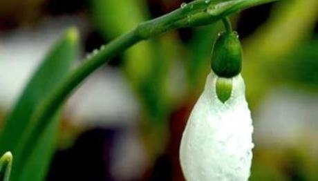 Örnek haber adı gelecek.