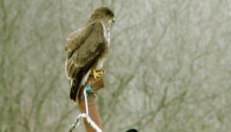 Örnek haber adı gelecek.