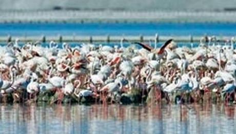 Örnek haber adı gelecek.