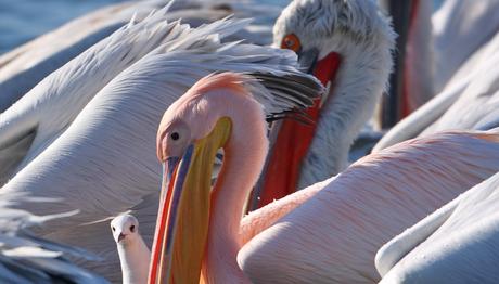 Örnek haber adı gelecek.