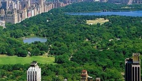 GÖNÜLLÜLER, CENTRAL PARK'TA KUŞ SAYIMI YAPTI 