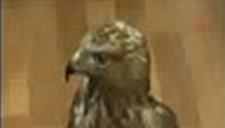 Pençesiz kalan Saz Delicesi...