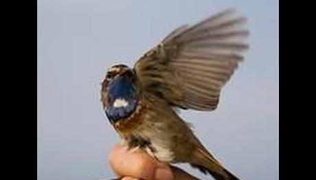 15 Mart-31 Mayıs Kars Kuyucuk ve Aras...