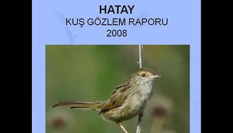 Hatay Kuş Gözlem Raporu:2008
