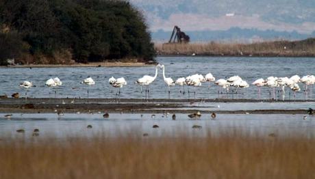 İKGT KOSKS  GÜNLERİ BAŞLADI!