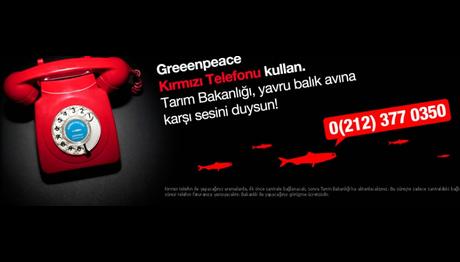 YAVRU BALIKLAR İÇİN KIRMIZI HAT