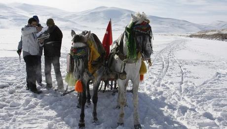 2011 KOSKS DEVAM EDİYOR!