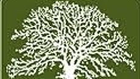 ŞEHRİN SOKAKLARINDA KUŞLAR FOTOĞRAF YARIŞMASI