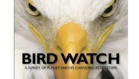 KİTAPLIK; DÜNYADAN VE TÜRKİYE’DEN KİTAPLAR