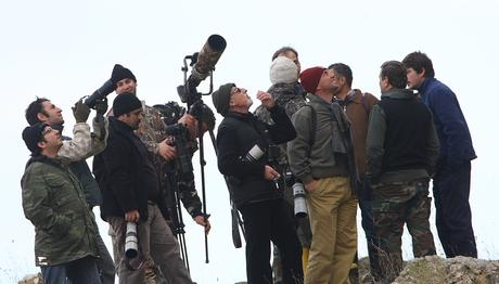 Tırmaşık Peşinde,