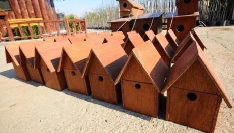 İZMİR DE KUŞLAR İÇİN ORGANİK TOPLU KONUT PROJESİ