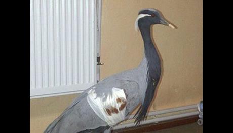 Örnek haber adı gelecek.