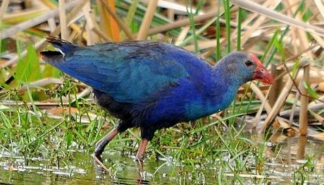 Örnek haber adı gelecek.