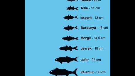 Örnek haber adı gelecek.