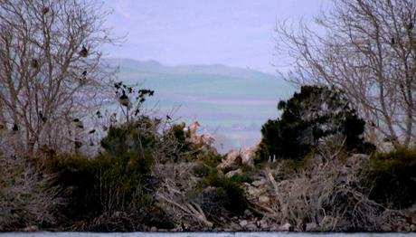 Örnek haber adı gelecek.