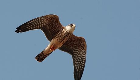 Örnek haber adı gelecek.