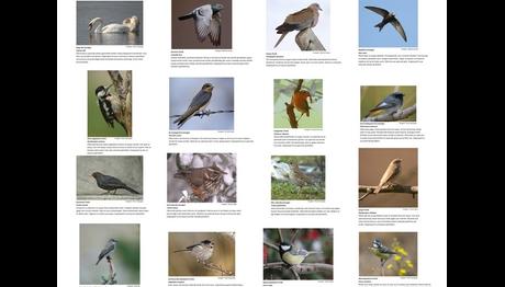 Örnek haber adı gelecek.