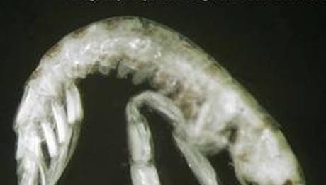 Örnek haber adı gelecek.