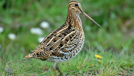 Örnek haber adı gelecek.