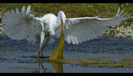 Örnek haber adı gelecek.