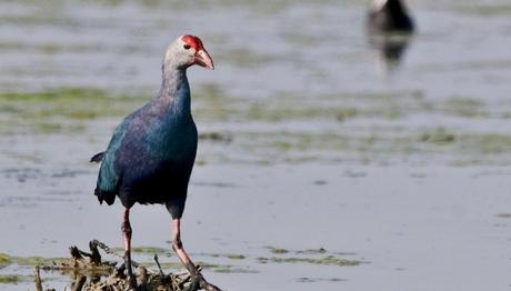 Örnek haber adı gelecek.