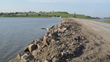 Örnek haber adı gelecek.