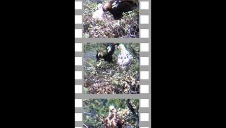 Örnek haber adı gelecek.