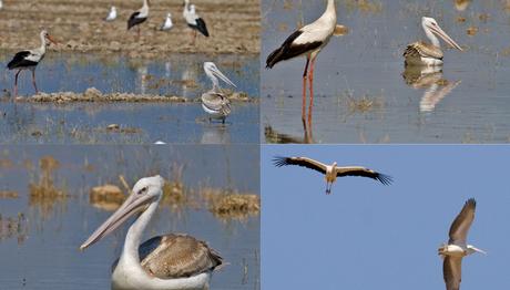 Örnek haber adı gelecek.