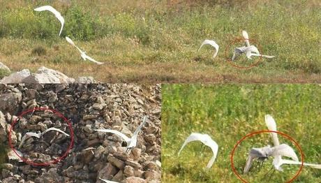 Örnek haber adı gelecek.