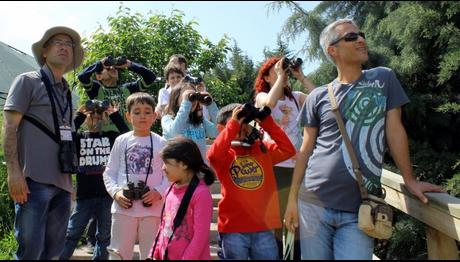 TÜBİTAK DOĞA ŞENLİĞİ 