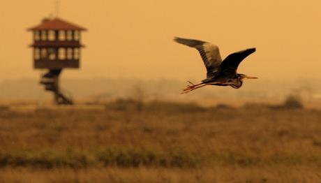Örnek haber adı gelecek.