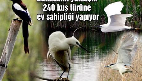 Örnek haber adı gelecek.