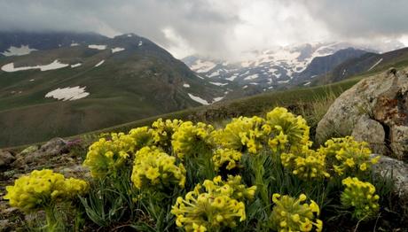 Örnek haber adı gelecek.