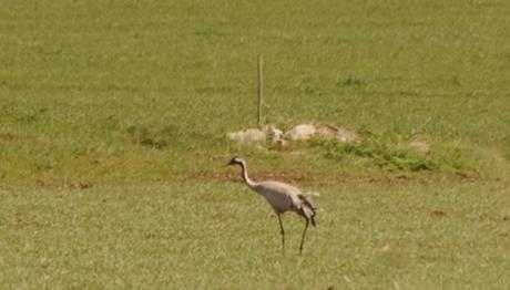 Örnek haber adı gelecek.