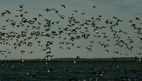 Örnek haber adı gelecek.