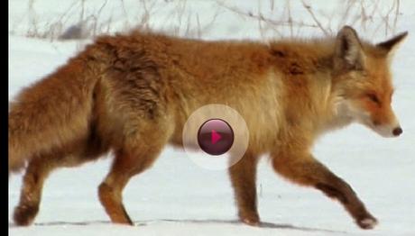 Örnek haber adı gelecek.