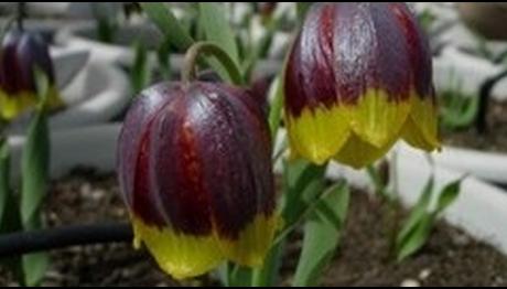 Örnek haber adı gelecek.