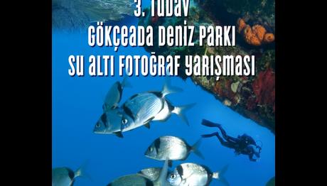 Örnek haber adı gelecek.