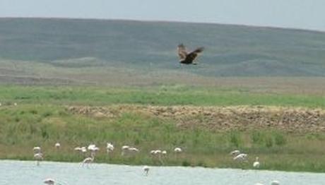 Örnek haber adı gelecek.