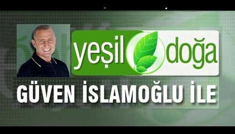 Örnek haber adı gelecek.