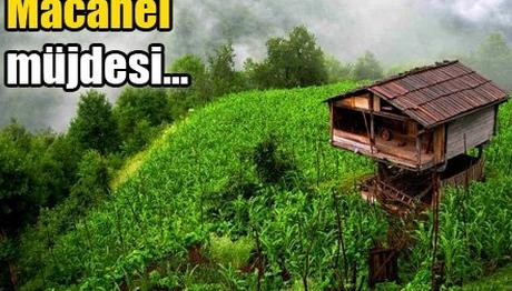 Örnek haber adı gelecek.