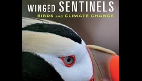 Örnek haber adı gelecek.