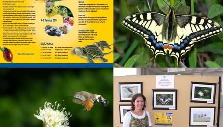 Örnek haber adı gelecek.