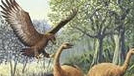 Örnek haber adı gelecek.