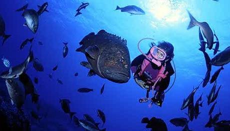 SİZE SEVGİ İLE BAKAN BİRİNİ VURABİLİR MİSİNİZ?