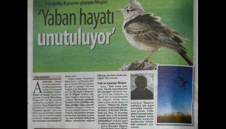 Örnek haber adı gelecek.