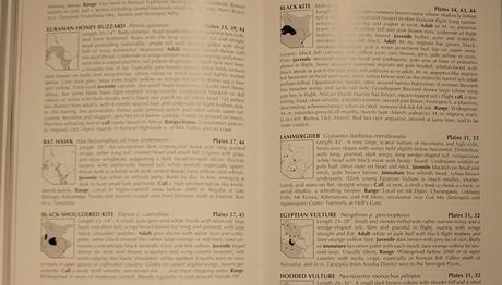 Örnek haber adı gelecek.