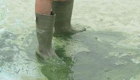 Örnek haber adı gelecek.