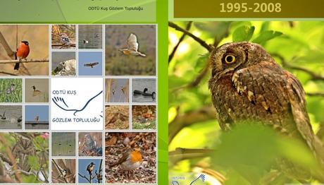 Örnek haber adı gelecek.